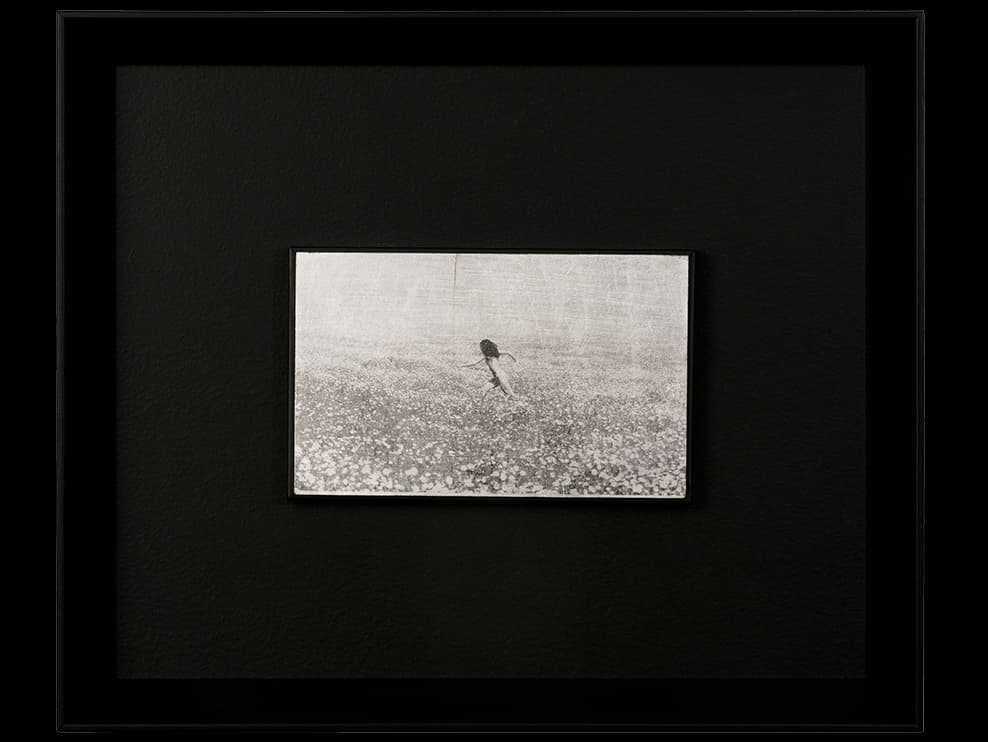 Caught in a Dream - Artist Proof II